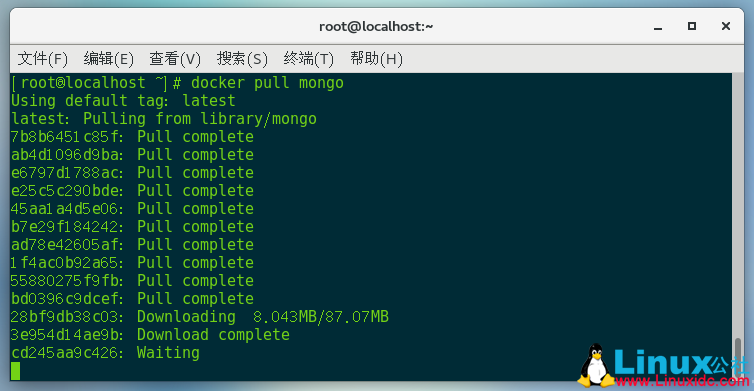 Docker 搭建 MongoDB
