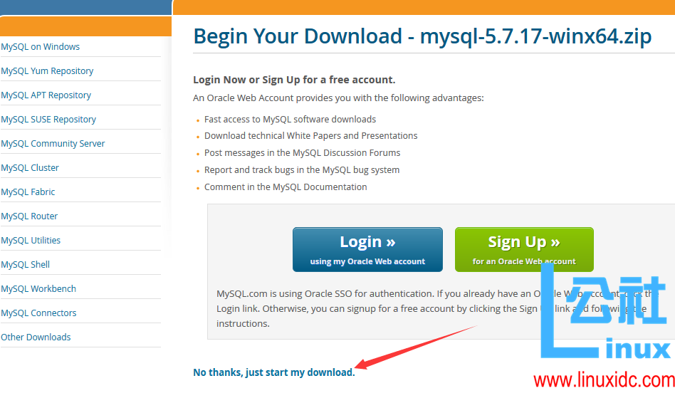 Windows 下 MySQL 数据库的安装与密码配置