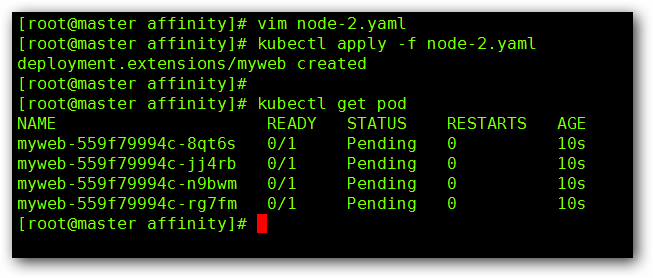 指定 pod 运行在固定节点