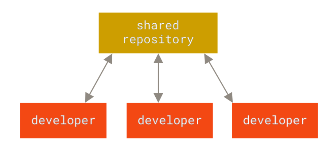 代码版本控制系统 代码版本控制系统