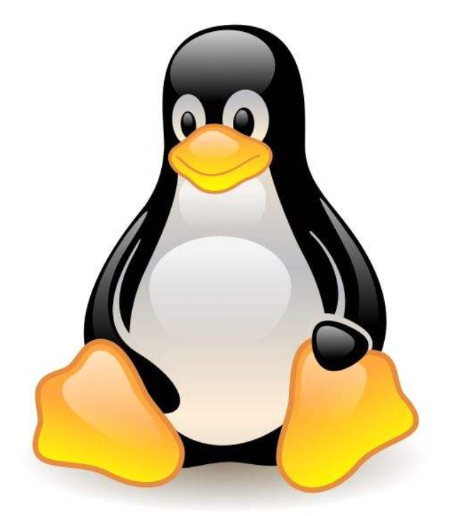 Linux起源和发展-星哥说事