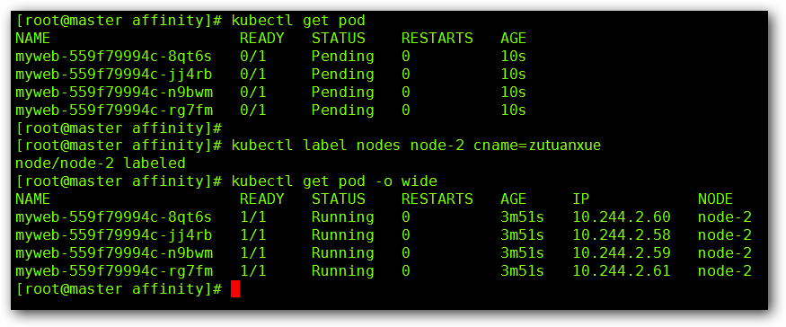 指定 pod 运行在固定节点