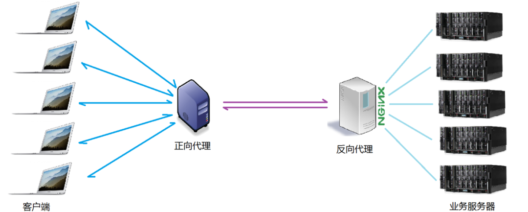 终于有人把 Nginx 说清楚了，图文详解！