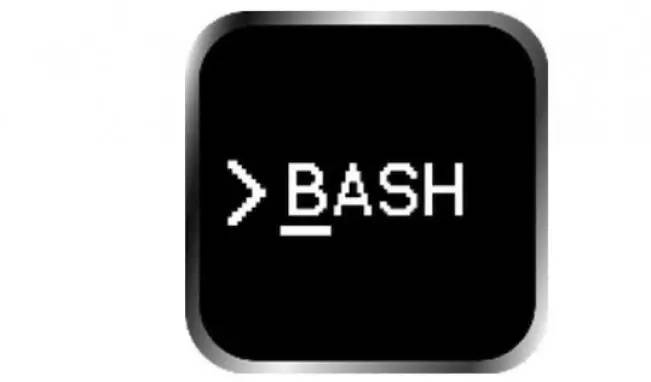  编写快速安全 Bash 脚本的建议 