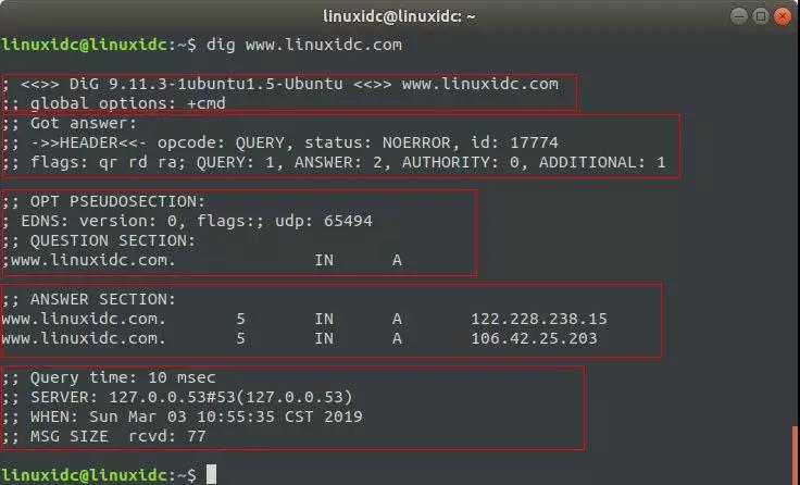 为你介绍 Linux 系统下解析域名的 dig 命令！