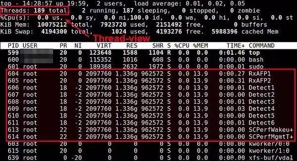 在 Linux 系统中有哪些命令可以用于查看进程？