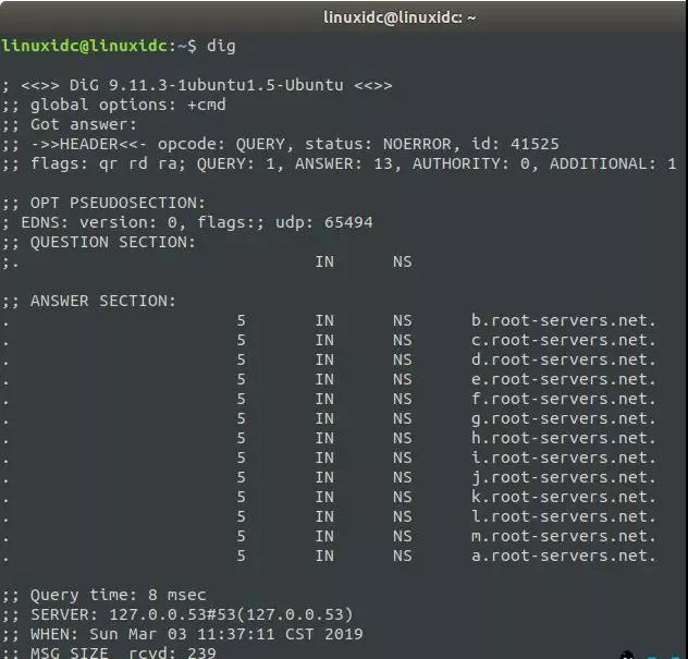 为你介绍 Linux 系统下解析域名的 dig 命令！