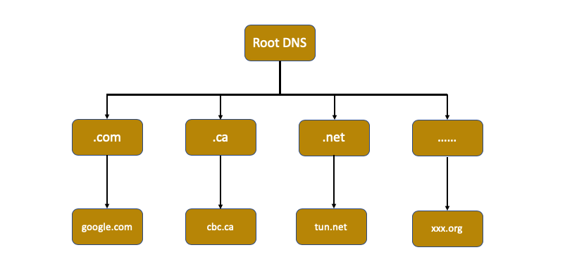 探讨 DNS 解析