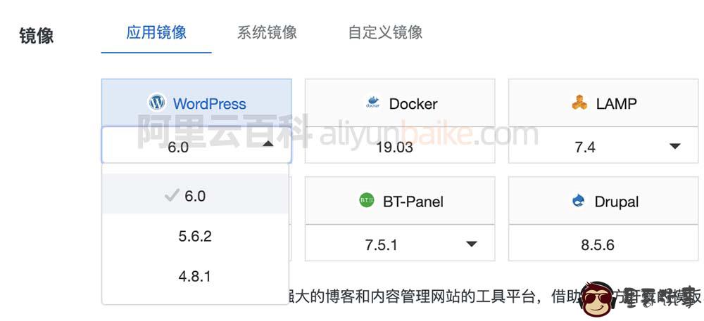 WordPress 应用镜像