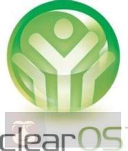 5 个 Linux 服务器发行版你值得拥有