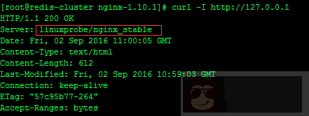 Nginx 源码安装及调优配置