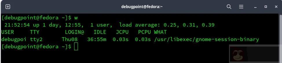 w 命令的解释与示例