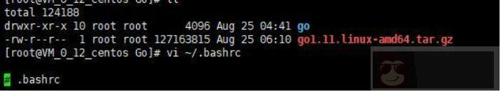 Centos7.5 安装 Golang、Beego 框架，部署测试一次性搞定