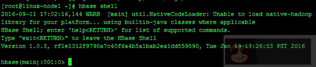 Hadoop 集群中 Hbase 的介绍、安装、使用