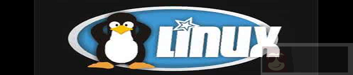 linux 自带 i2c 工具使用