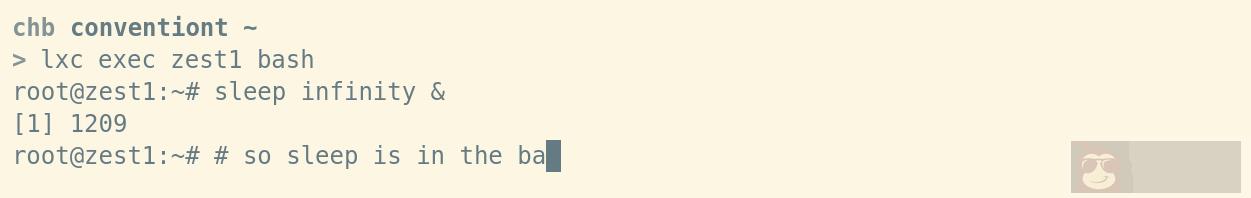 lxc exec 的魅力特征