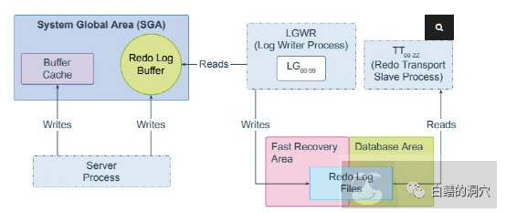 Oracle 的 Lgwr Worker 的工作原理 Oracle 的 Lgwr Worker 的工作原理