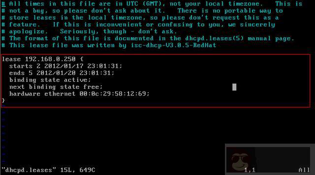单区域内 DHCP 安装
