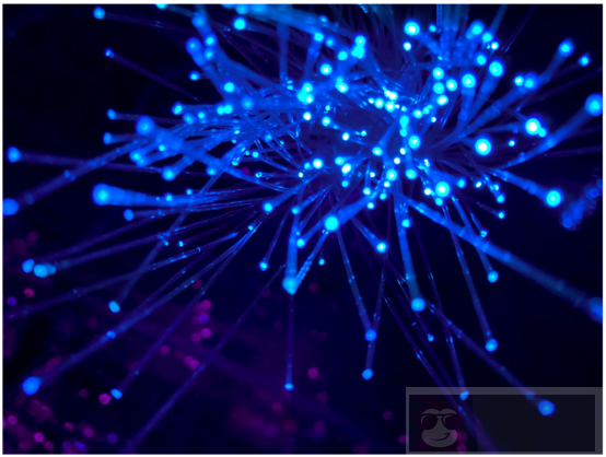 如何来构建神经网络?看看这篇干货 如何来构建神经网络?看看这篇干货