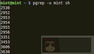 12 个 Linux 进程管理命令介绍