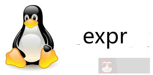 详解命令 -expr
