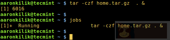 如何在后台运行 Linux 命令并且将进程脱离终端