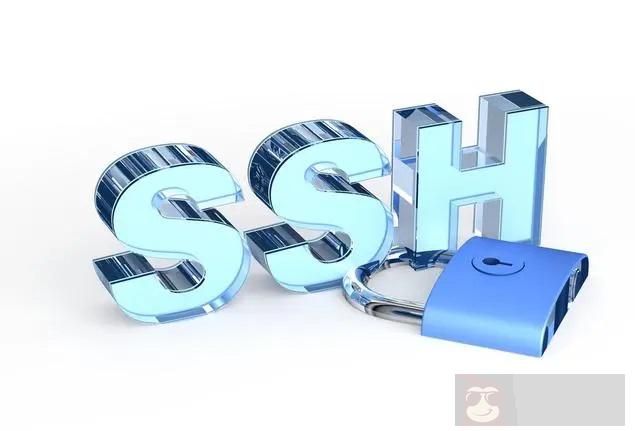 linux 的网络服务功能—FTP、SSH 和 NFS