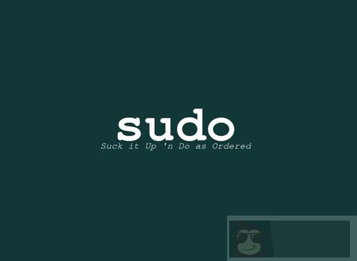 Linux 中设置’sudo’的 10 个小技巧 Linux 中设置’sudo’的 10 个小技巧