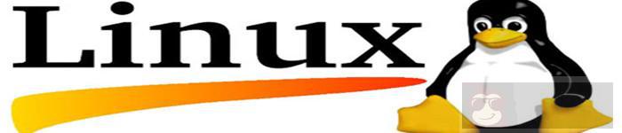 大神教你如何在 Linux 中启用 Shell 脚本的调试模式 大神教你如何在 Linux 中启用 Shell 脚本的调试模式
