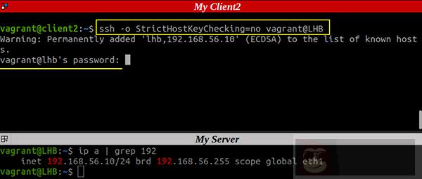 Linux 中关于 known_hosts 文件,你所应该知道的 Linux 中关于 known_hosts 文件,你所应该知道的