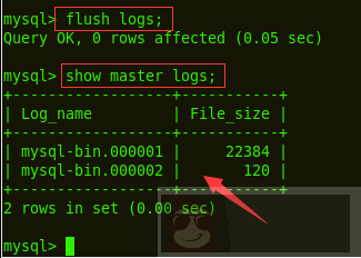 通过 MySQL 的二进制日志恢复数据库数据