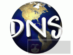 搭建 DNS 服务器