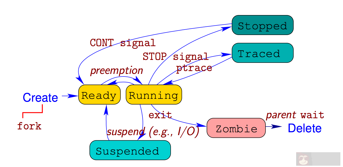 Linux 命令 top 的宝藏知识