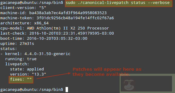 Livepatch —— 免重启给 Ubuntu Linux 内核打关键性安全补丁