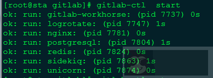 GitLab 的安装实战