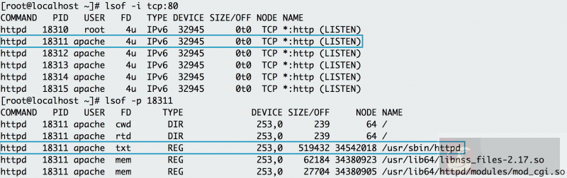 20 条系统管理员需要知道的命令