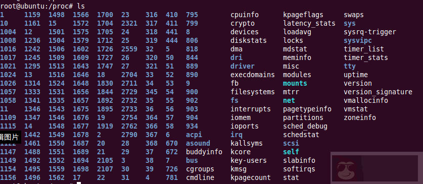 Linux 中必须要了解的命令操作 Linux 中必须要了解的命令操作