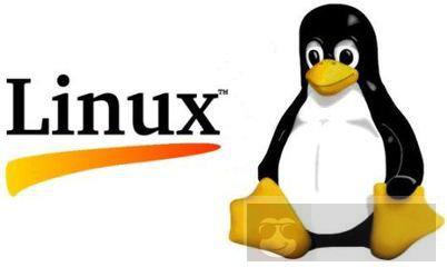 linux 下查询命令的技巧