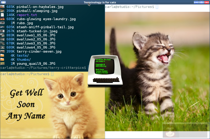 5 款最酷的 Linux 终端模拟器！
