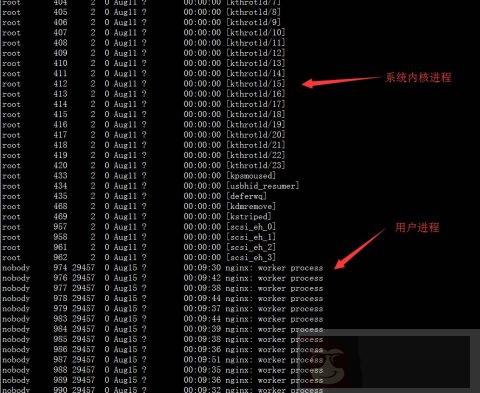 10 个运维人员需要知道的”系统进程”