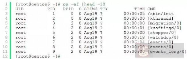 常用 Linux 进程及作业管理命令