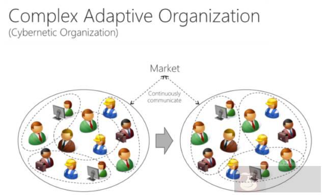企业的组织架构对技术架构的影响