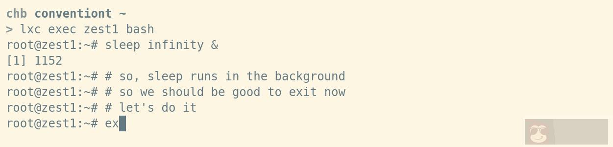 lxc exec 的魅力特征