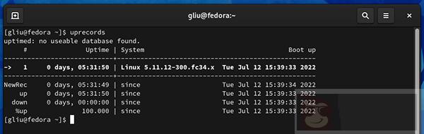 Linux 服务器的运行时间检查技巧