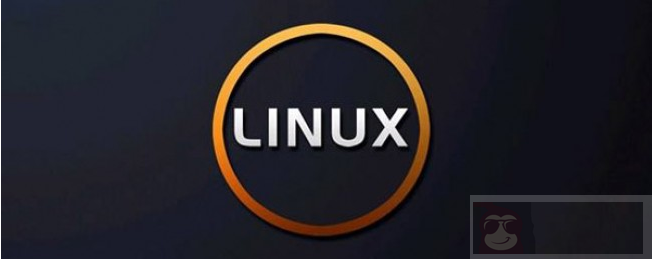 如何在 Linux 中安全的删除文件和目录