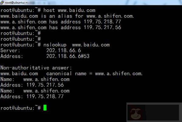 Shell 中 4 个关键的网络命令