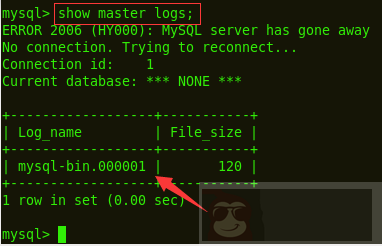 通过 MySQL 的二进制日志恢复数据库数据