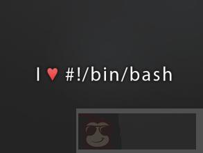 大神教你如何在 Linux 中启用 Shell 脚本的调试模式 大神教你如何在 Linux 中启用 Shell 脚本的调试模式