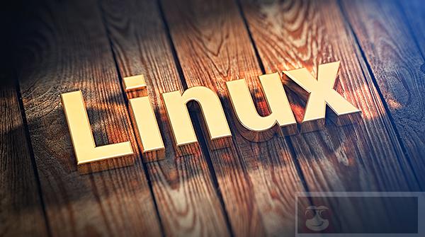 Linux 命令行下删除文件内容