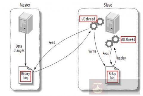 MySQL 系列连载之主从复制原理